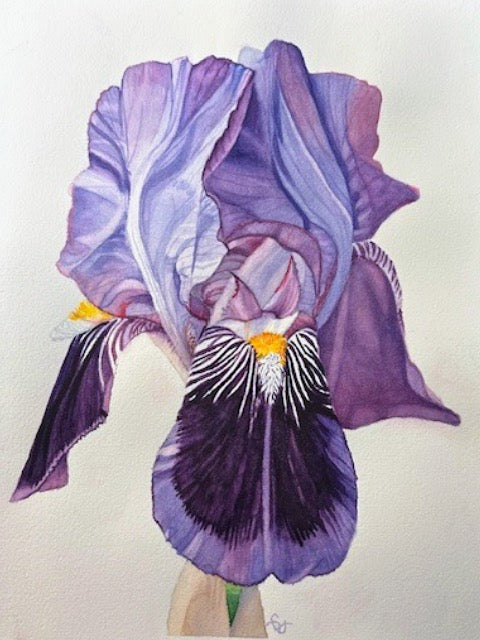 Orris: A Precious Ingredient That is Perfect for the Season