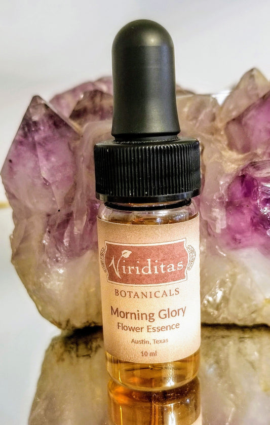 Morning Glory Flower Essence - Libertine x Viriditas Botanicals