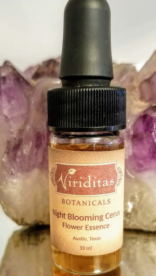 Night Blooming Cereus Flower Essence - Libertine x Viriditas Botanicals
