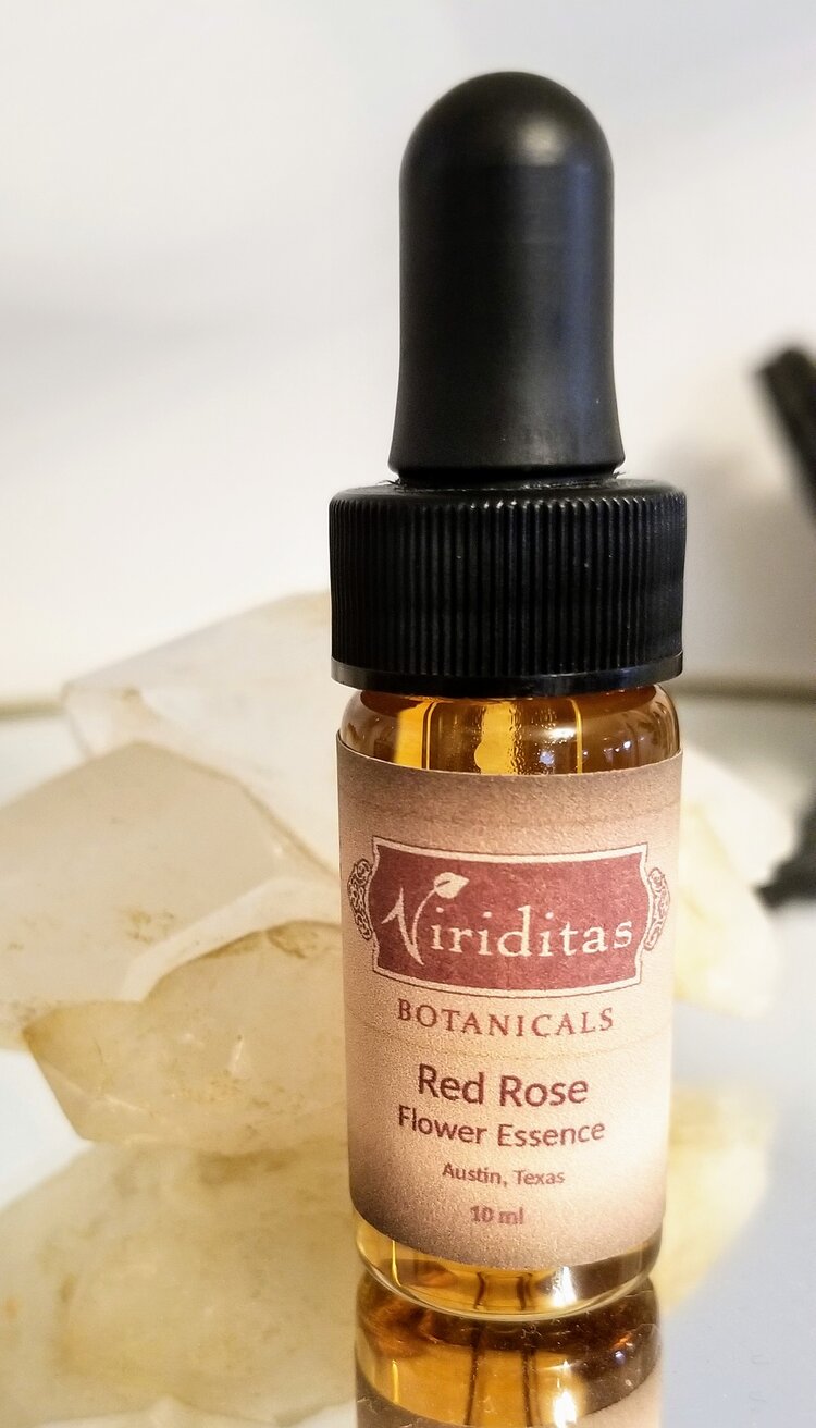 Red Rose Flower Essence - Libertine x Viriditas Botanicals