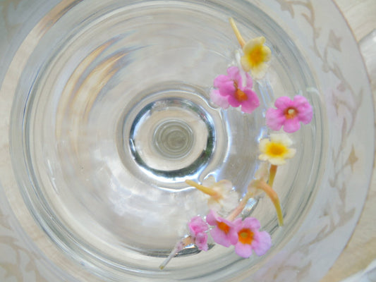 Lantana Flower Essence Pink and Orange - Libertine x Viriditas Botanicals